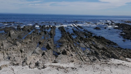 Tide pools