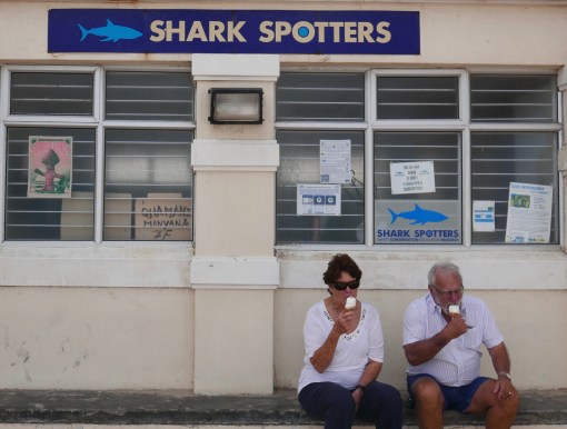Shark spotters