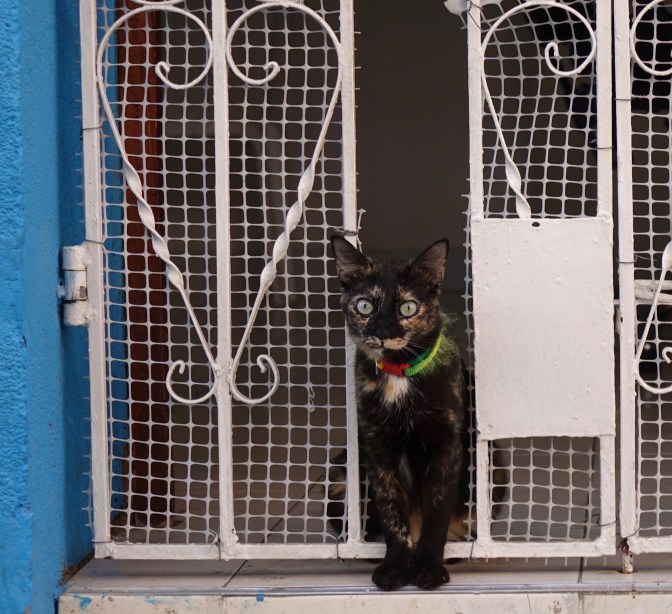 B4157AAA-A2DB-4425-94B8-0B30D46A442D