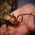 From the TMI Department