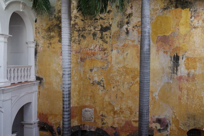 C6CB25D3-D64E-40AA-9754-D7C8E595B903