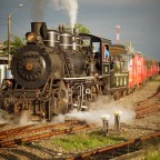 The Little Train That Does