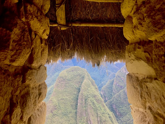 9D312272-AF1A-44D1-82D2-E95F24091FE4