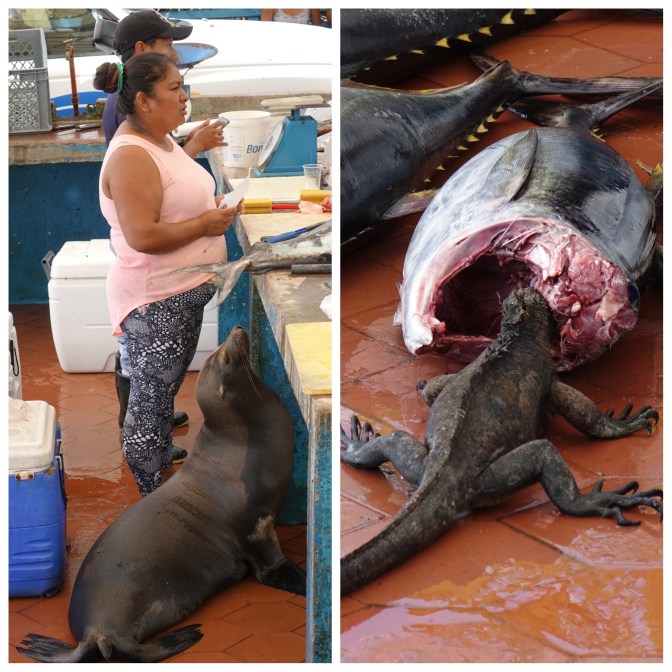 Processed with MOLDIV