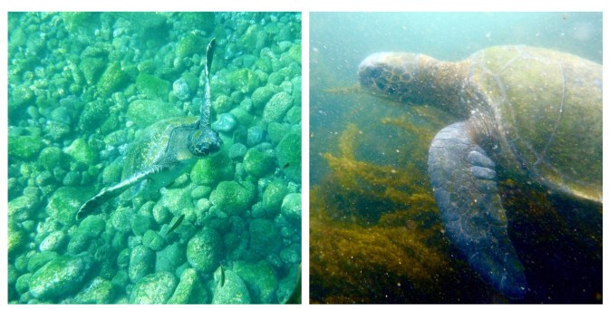 Processed with MOLDIV