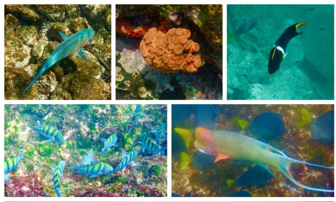 Processed with MOLDIV