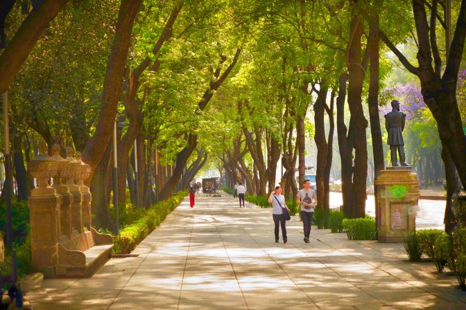 beautiful Avenue Paseo de la Reforma