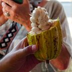 Central America in a Flash