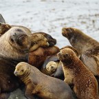 To the End of the World