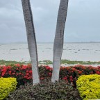 2 Months Down, 4 to Go